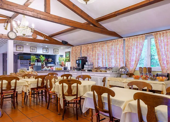 Otel - Montagne Verte & Restaurant Louisiane Strazburg